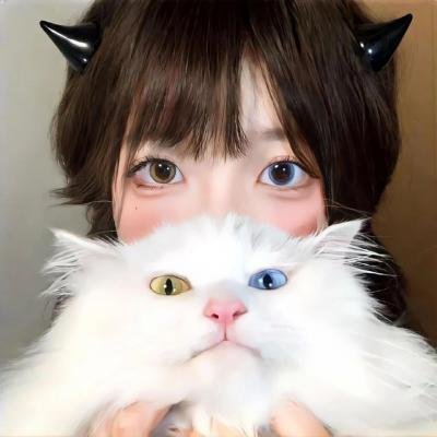 完美伴侣